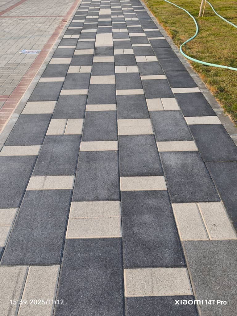 صورة المشروع 2